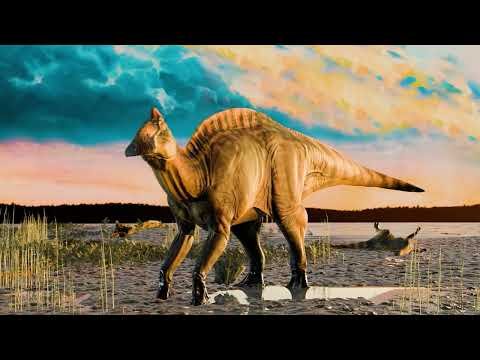 Dinosaur ‘mummies’ prove some dinos had hooves