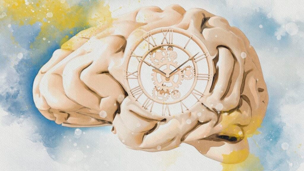 New study reveals why time seems to move faster the older we get