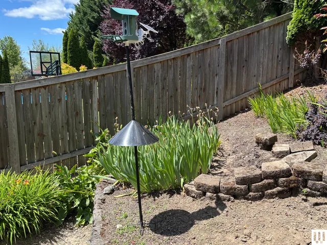 How to Keep Squirrels Off Bird Feeders (2025)