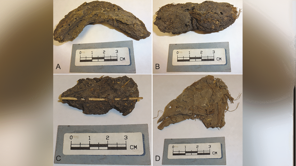 1,300-year-old poop reveals pathogens plagued prehistoric people in Mexico’s ‘Cave of the Dead Children’