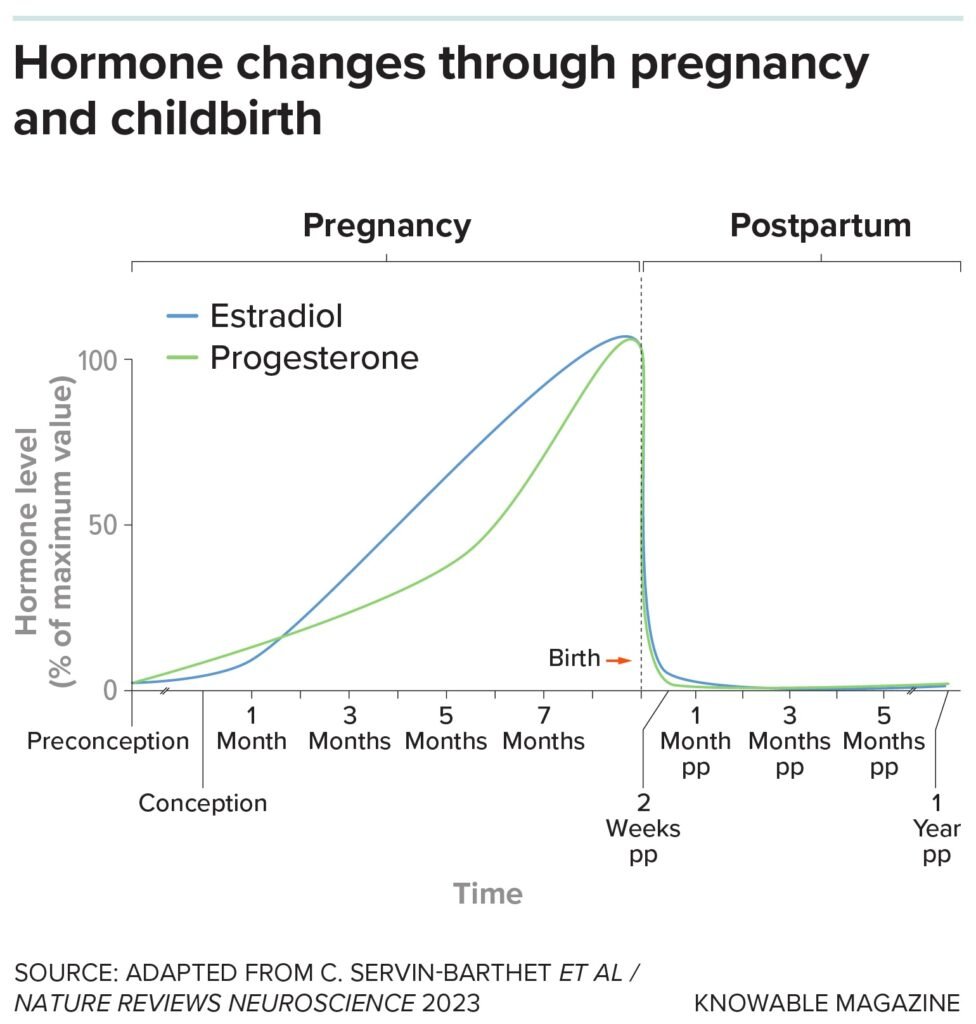 New blood test can predict risk of postpartum depression with more than 80% accuracy