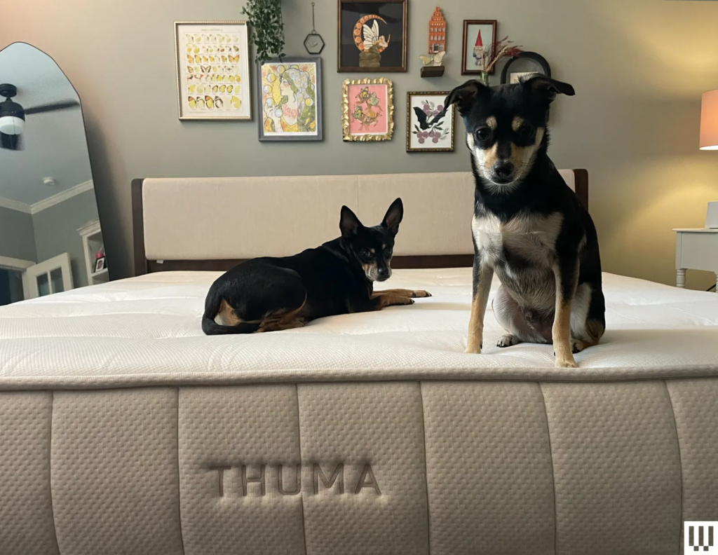 Thuma Hybrid Mattress Review: Firm but Favorable