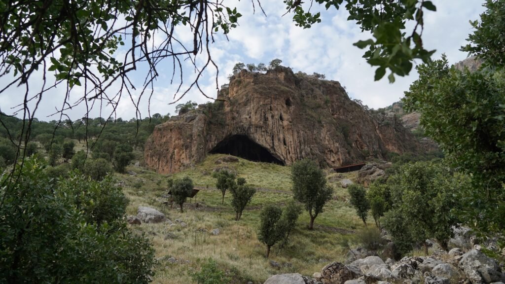 Did Neanderthals eat anything other than meat?