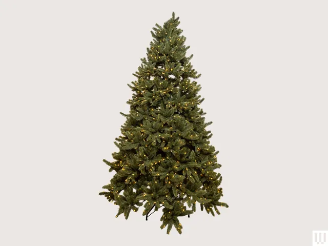 Best Black Friday Christmas Tree Deals (and Lights, Too) of 2025
