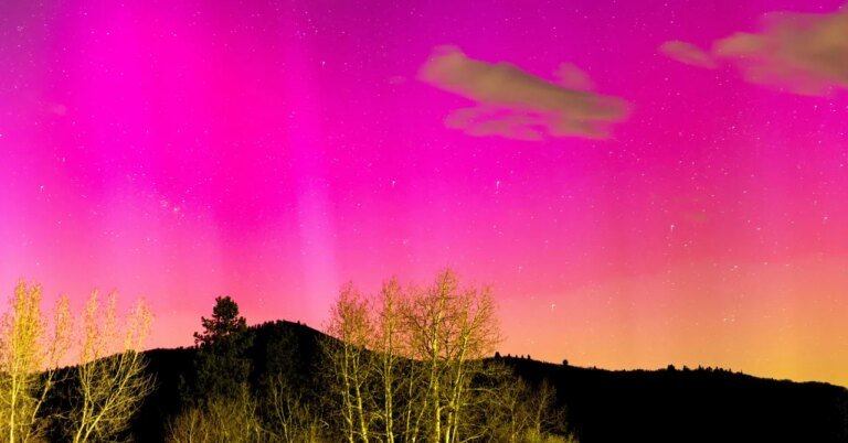 The Physics of the Northern Lights