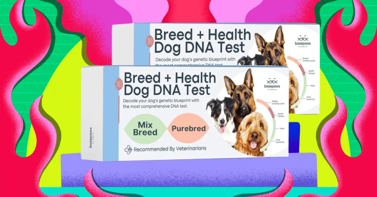 Basepaws Pet Test Kits Are Half Off Right Now (2025)