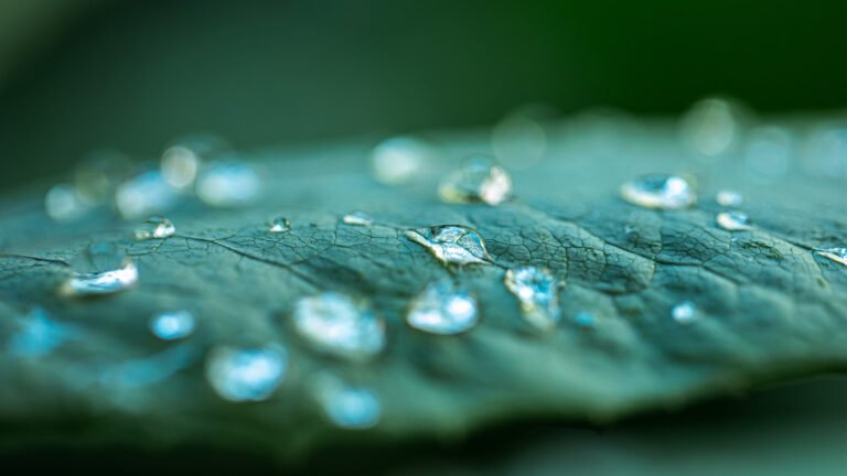 5 common mistakes beginner macro photographers make — and how to avoid them