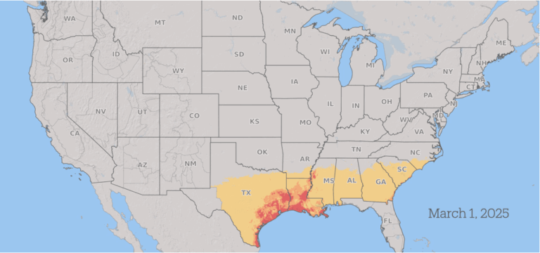 Scientist pleaded guilty to smuggling Fusarium graminearum into US. But what is it?