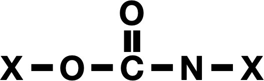 Neural network finds an enzyme that can break down polyurethane