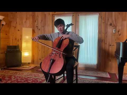 This 3D-printed cello puts a carbon fiber spin on a classic