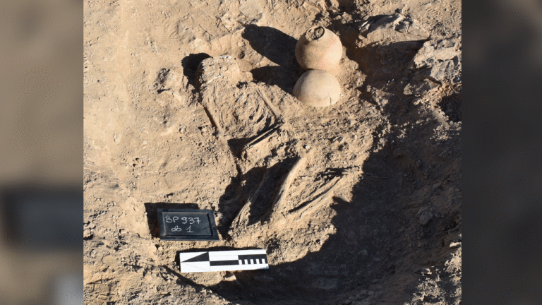‘We do not know of a similar case’: 4,000-year-old burial in little-known African kingdom mystifies archaeologists
