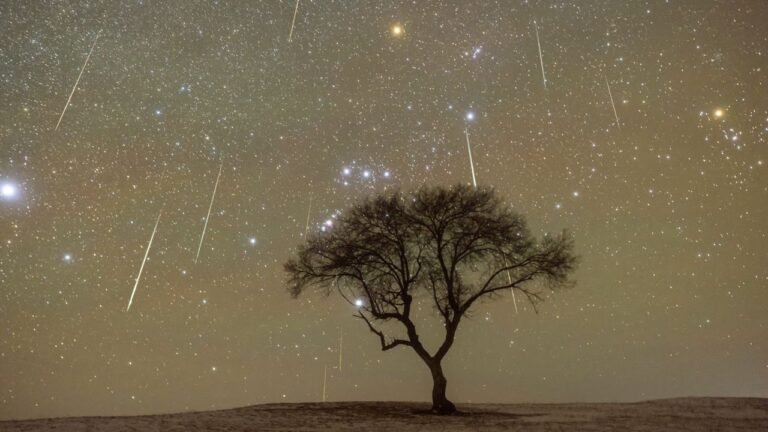 Geminids 2025: The year’s best meteor shower is coming, with a second shower hot on its tail