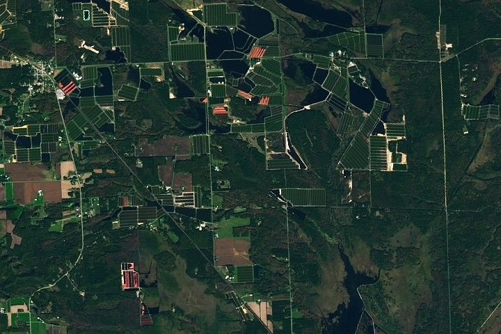 Cranberry Country, Wisconsin – NASA Science