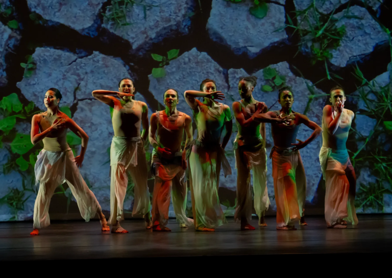 Ruby the turtle needs a new greenhouse. Dance companies are stepping up.