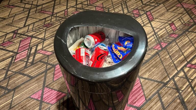 So very big, so little sustainability tech