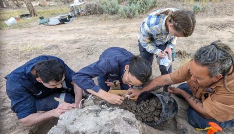 Australian Aboriginals cared for a dingo’s grave for decades