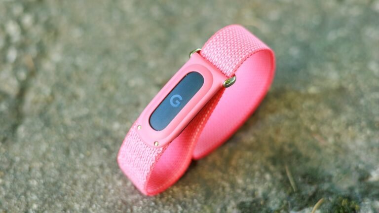 I wore the $100 Fitbit Air alongside my Apple Watch for a week