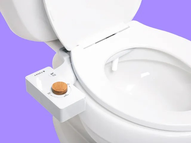 Amazon Prime Day Deal 2026: A Tushy Bidet for Under $100
