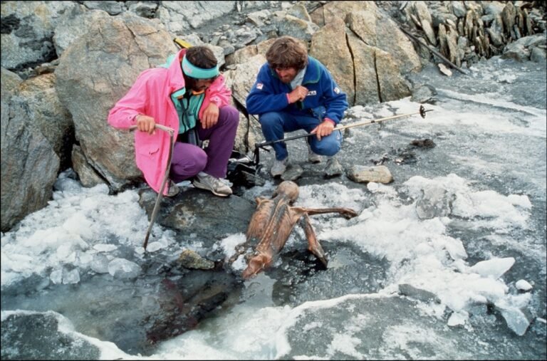 Some ancient microbes frozen with Ötzi the Iceman are still growing